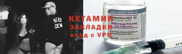 прущие грибы Новозыбков