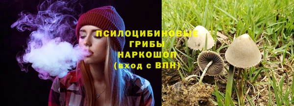 МДПВ Нефтегорск