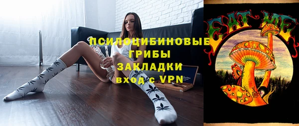 МДПВ Нефтегорск