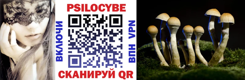 blacksprut ONION  Медынь  Галлюциногенные грибы Psilocybe 